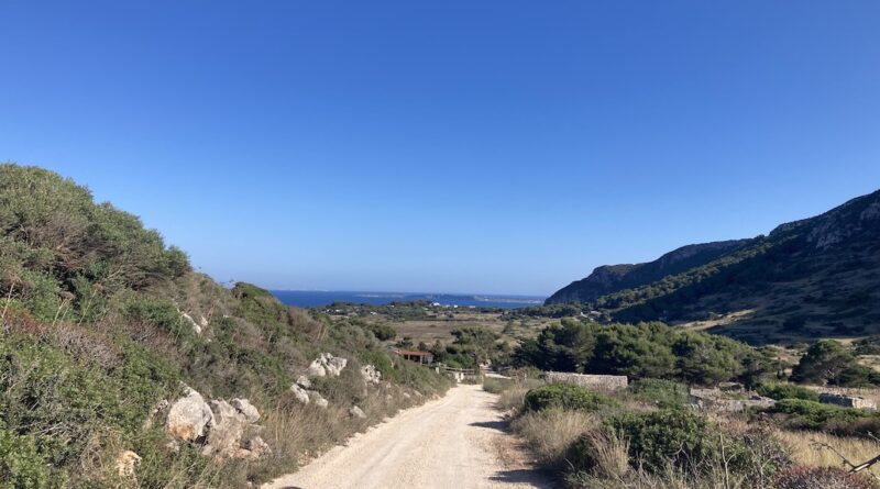 La strada con rovi e sassi dove il seminatore getta il suo seme